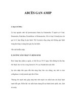 ABCÈS GAN AMIP ppsx