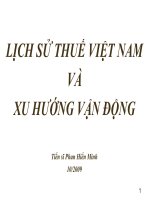 Sơ lược lịch sử thuế việt nam pptx
