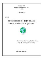 TIỂU LUẬN ĐỀ TÀI: RỪNG NHIỆT ĐỚI – HIỆN TRẠNG VÀ CÁC CHÍNH SÁCH QUẢN LÝ pot