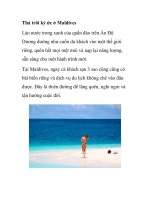 Thả trôi ký ức ở Maldives ppsx