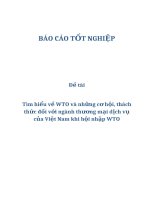 Đề tài: Tìm hiểu về WTO và những cơ hội, thách thức đối với ngành thương mại dịch vụ của Việt Nam khi hội nhập WTO ppt