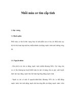 Nhồi máu cơ tim cấp tính docx