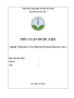 Tổng quan tài liệu về cây bách bộ   stemona tuberosa