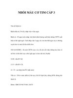 NHỒI MÁU CƠ TIM CẤP 3 docx