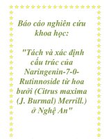 Báo cáo nghiên cứu khoa học: 