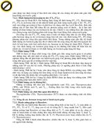 Giáo trình hướng dẫn phân tích khối ưu tuyến giáp thận với phương pháp ghi hình phóng xạ p6 pot