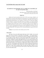 Báo cáo nghiên cứu khoa học: 