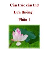 Cấu trúc câu thơ 