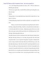 Thu hút vốn đầu tư FDI theo vùng kinh tế ở Việt Nam - 5 potx