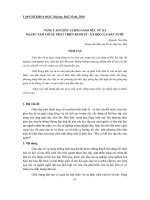 Báo cáo nghiên cứu khoa học: 