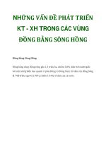 NHỮNG VẤN ĐỀ PHÁT TRIỂN KT - XH TRONG CÁC VÙNG ĐỒNG BẰNG SÔNG HỒNG pps