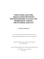 What explains the association between socioeconomic status and depression among vietnamese adults