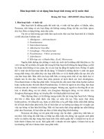 Bùn hoạt tính và sử dụng bùn hoạt tính trong xử lý nước thải
