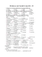 Đề kiểm tra Anh Văn khối 12 năm 2011 – T5 pptx