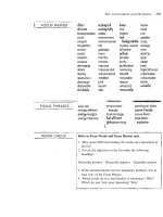 more than words book 2 phần 10 pptx