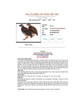 Các loài chim thuộc bộ gà part 5 ppsx