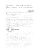 ĐỀ KIỂM TRA HỌC KỲ I NĂM HỌC 2010 - 2011 - Mã đề: 431 ppsx