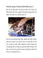 Xem bộ xương cá Ông lớn nhất Đông Nam Á pptx