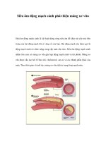 Siêu âm động mạch cảnh phát hiện mảng xơ vữa pot