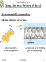 Công nghệ tê bào động vật : Đại cương về tế bào và mô động vật part 3 pdf