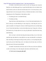 Công tác quản trị kênh phân phổi sản phẩm xe máy tại Cty Xuất nhập khẩu Đà nẵng - 2 docx