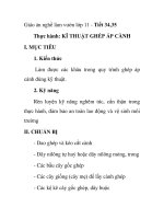 Giáo án nghề làm vườn lớp 11 - Tiết 34,35 Thực hành: KĨ THUẬT GHÉP ÁP CÀNH pdf