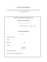 MẪU BẢN CÔNG BỐ HỢP QUY pptx