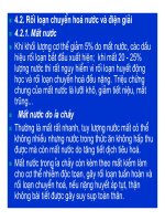 Bài giảng bệnh lý học thú y : Rối loạn chuyển hóa các chất part 9 pps