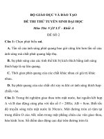 ĐỀ THI THỬ TUYỂN SINH ĐẠI HỌC TRƯỜNG THPT PHAN THÚC TRỰC Môn Thi: VẬT LÝ pot