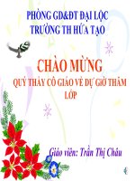 Toán 1 thực hành đo độ dài