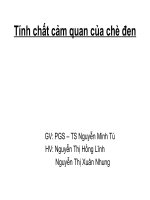 Tính chất cảm quan của chè đen ppsx