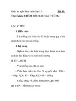 Giáo án nghề làm vườn lớp 11 - Bài 34. Thực hành: CHĂM SÓC RAU SAU TRỒNG pdf