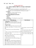 Giáo án tự nhiên xã hội lớp 3