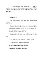 Giáo án nghề làm vườn lớp 12 - Bài 4: THỰC HÀNH: LÀM VƯỜN GIEO ƯƠM CÂY GIỐNG potx