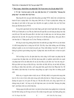 Tiểu luận pháp luật việt nam pps