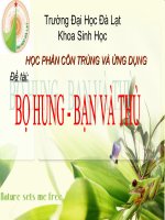 bọ hung và ứng dụng côn trùng học