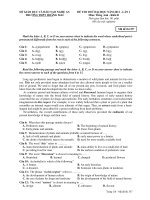 ĐỀ THI THỬ ĐẠI HỌC NĂM 2011 - LẦN 1 Môn: Tiếng Anh - Khối D pptx