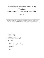Giáo án nghề làm vườn lớp 11 - Tiết:52, 53, 54: Thực hành GIEO TRỒNG VÀ CHĂM SÓC RAU SẠCH (cây ớt) ppsx