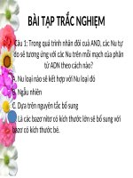 bài tập trắc nghiệm và phiên mã, dịch mã sinh 12