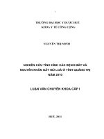 Nghiên cứu tình hình các bệnh mắt và nguyên nhân gây mù loà ở tỉnh quảng trị năm 2010