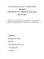 Giáo án nghề làm vườn lớp 11 - Tiết:58, 59, 60: Thực hành GIEO TRỒNG VÀ CHĂM SÓC RAU SẠCH (cây rau ngót) docx