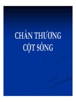 CHẤN THƯƠNG CHẤN THƯƠNG CỘT SỐNG SỐ docx