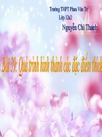 quá trình hình thành đặc điểm thích nghi