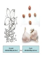 Bài giảng dược lý học part 3 pptx