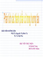 Tiểu luận: Phân tích các thành phần có trong hương táo pot