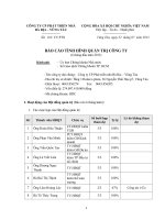 CÔNG TY cổ PHẦN PHÁT TRIỂN NHÀ bà rịa VŨNG tàu báo cáo TÌNH HÌNH QUẢN TRỊ CÔNG TY 6 tháng đầu năm 2013