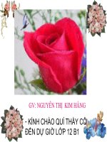 liên kết gen và hoán vị gen - quy luật di truyền