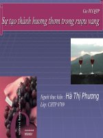 Sự tạo thành hương thơm trong rượu vang pps