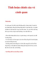 Tính hoàn chỉnh của vỏ cảnh quan pps