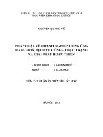 tóm tắt luân án tiến sĩ pháp luật về doanh nghiệp cung ứng hàng hoá, dịch vụ công thực trạng và giải pháp hoàn thiện